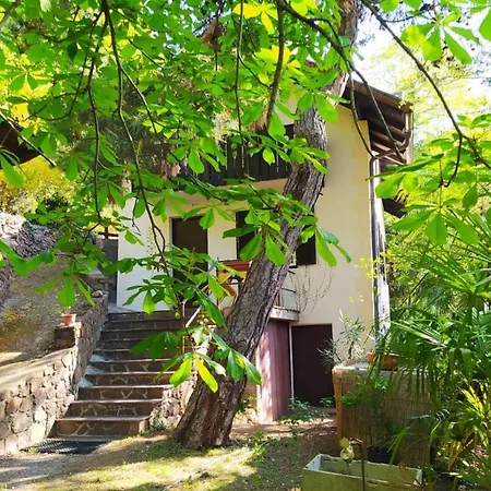 Torre Garden - Casa Singola Nella Citta Di Con Giardino Privato Semesterbostad *