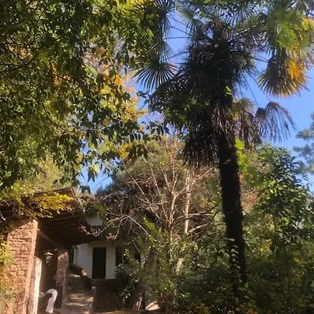 Torre Garden - Casa Singola Nella Citta Di Con Giardino Privato 볼차노