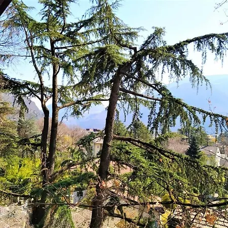 Torre Garden - Casa Singola Nella Citta Di Con Giardino Privato * 볼차노